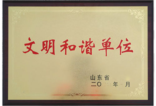 Shandong Chunxu Electrical